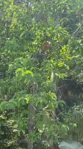 Goddess Stella Sol [ goddessstellasol ] Onlyfans leaked video 7586505 on Hotleaks.tv