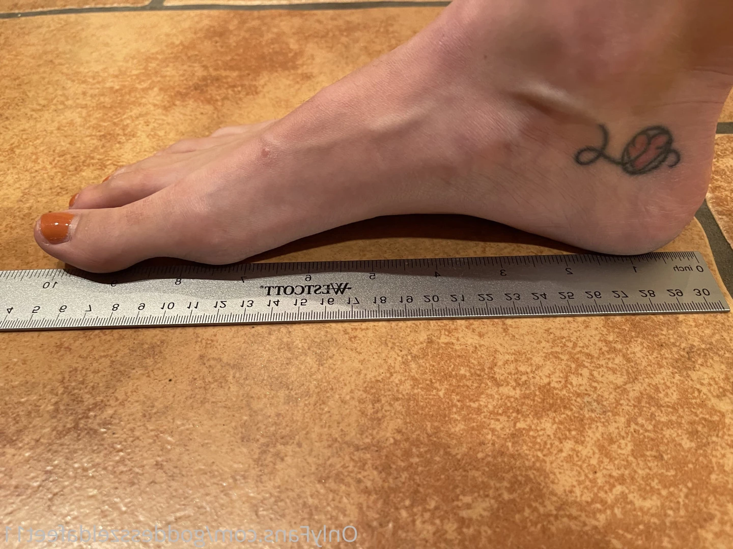 goddesszeldafeet11 Onlyfans leaked photo 7224605 on Hotleaks.tv