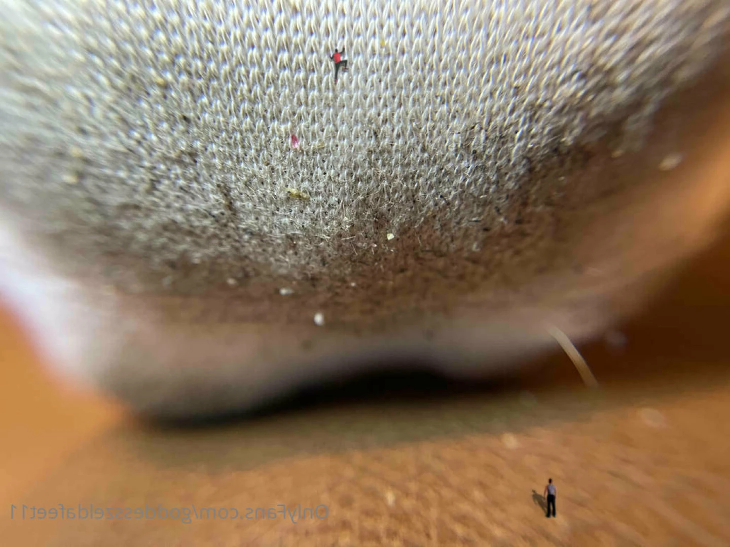 goddesszeldafeet11 Onlyfans leaked photo 7225148 on Hotleaks.tv