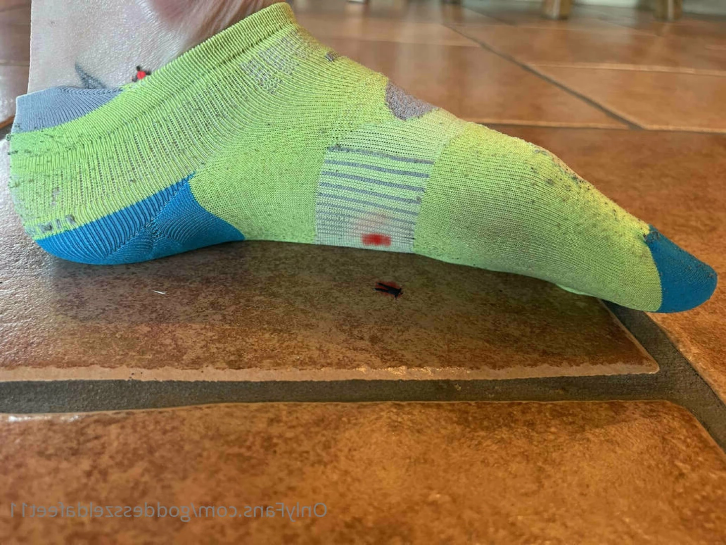 goddesszeldafeet11 Onlyfans leaked photo 7225531 on Hotleaks.tv