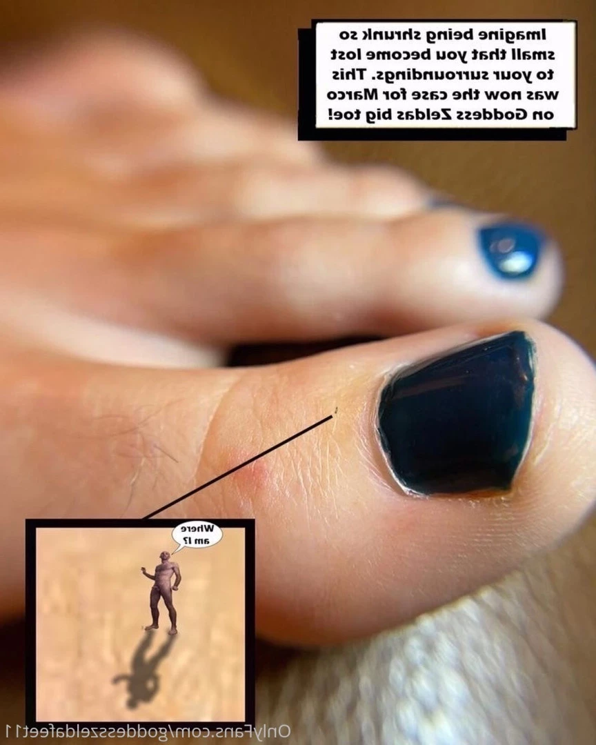 goddesszeldafeet11 Onlyfans leaked photo 7226274 on Hotleaks.tv