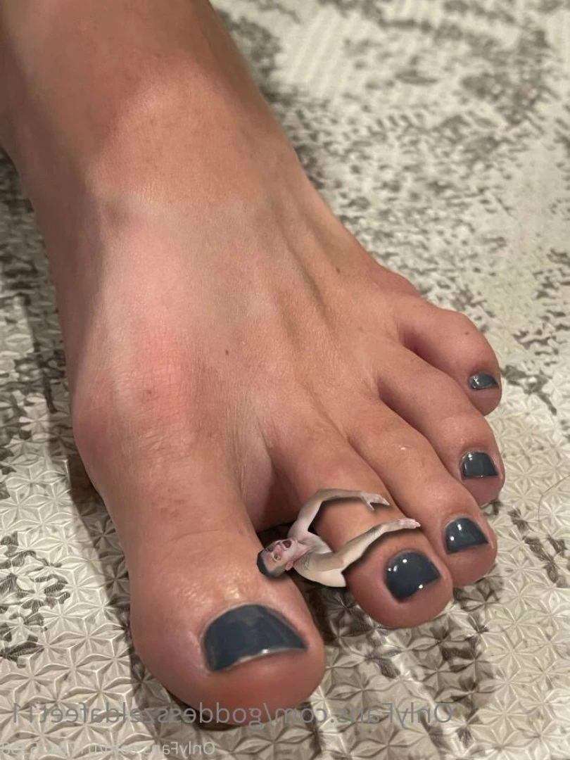 goddesszeldafeet11 Onlyfans leaked photo 7226358 on Hotleaks.tv