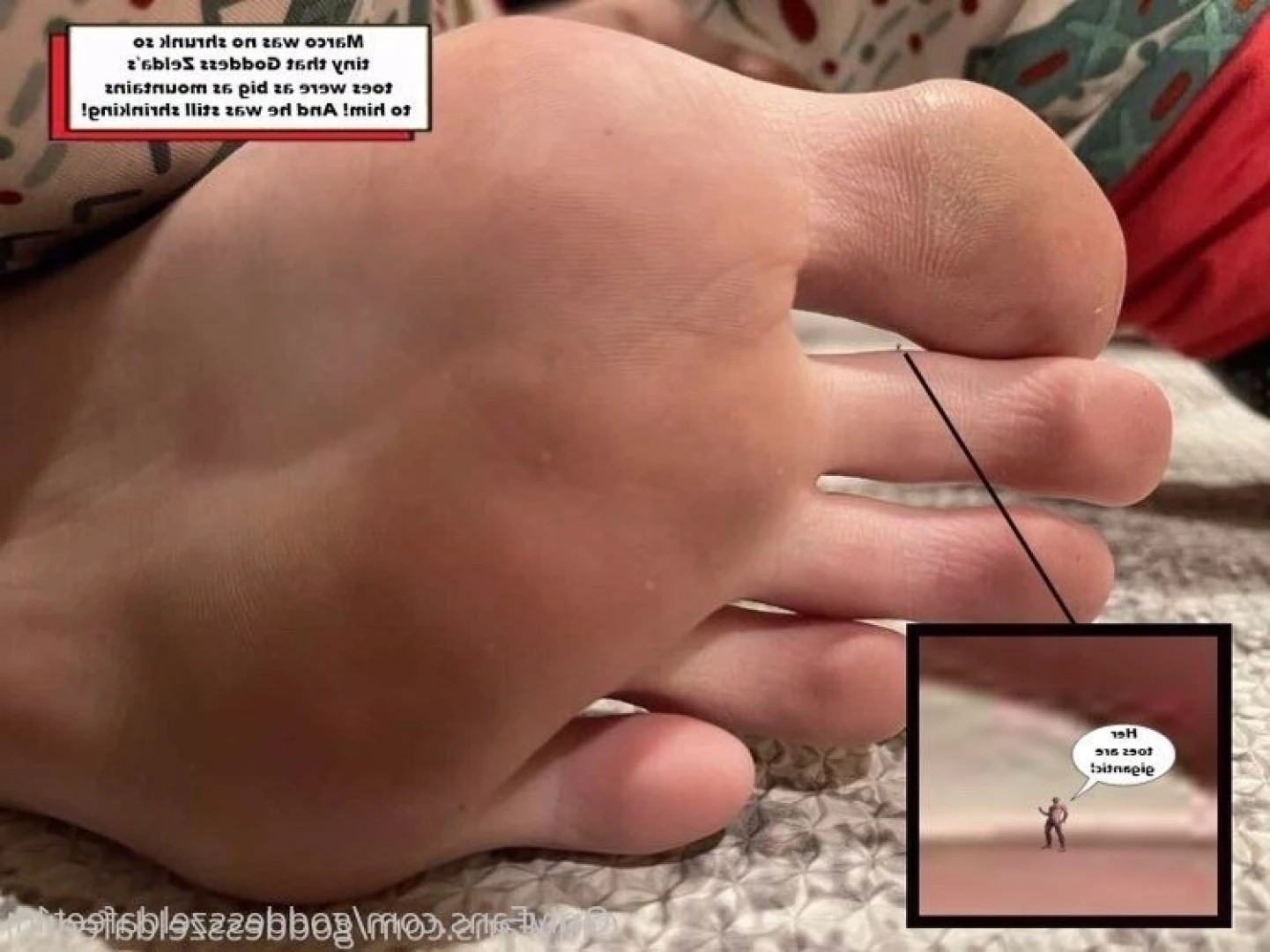 goddesszeldafeet11 Onlyfans leaked photo 7228873 on Hotleaks.tv