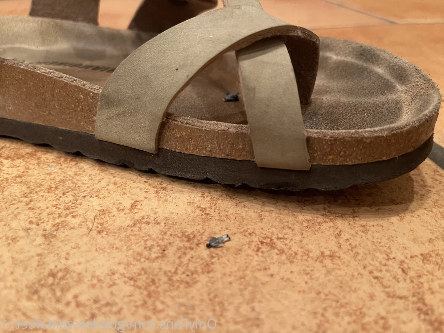 goddesszeldafeet11 Onlyfans leaked photo 7229023 on Hotleaks.tv