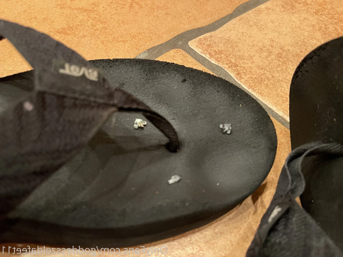 goddesszeldafeet11 Onlyfans leaked photo 7229562 on Hotleaks.tv