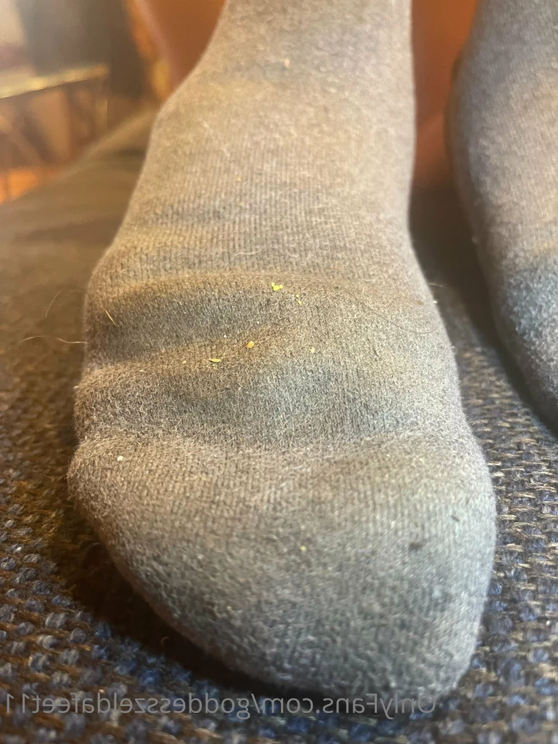 goddesszeldafeet11 Onlyfans leaked photo 7230287 on Hotleaks.tv