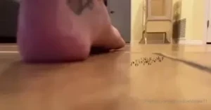 7585810