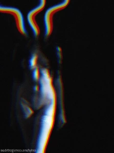 7667479