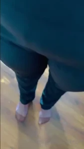 18253631