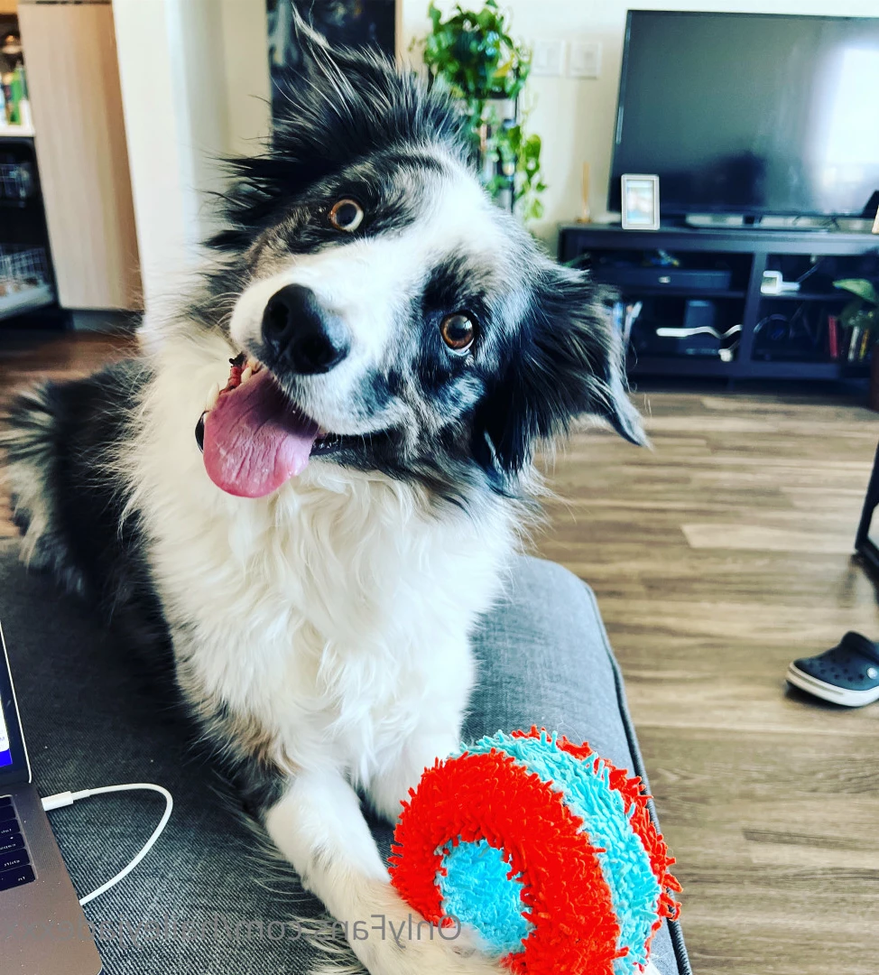 HaileyJade [ haileyjadexxx ] Onlyfans leaked photo 7661480 on Hotleaks.tv