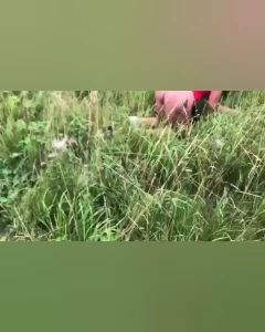 BIG CLIT [ hornysexymuscles ] Onlyfans leaked video 7526906 on Hotleaks.tv