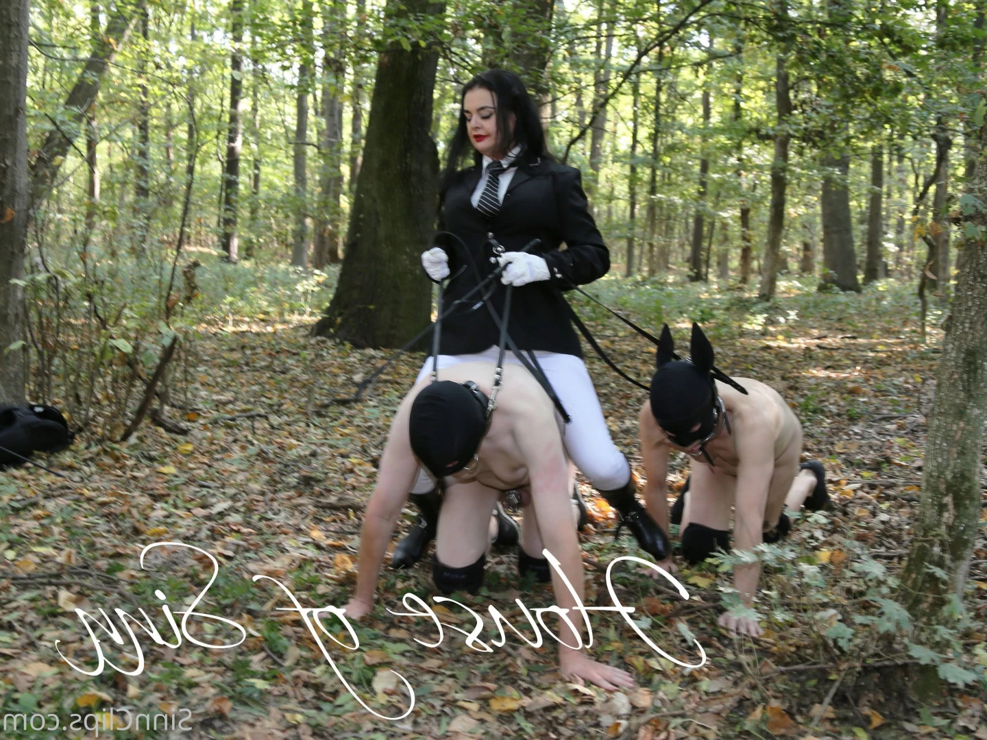 House of Sinn [ houseofsinn ] Onlyfans leaked photo 7140522 on Hotleaks.tv