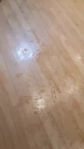 Jasmine James [ jasminejamesxx1 ] Onlyfans leaked video 18252757 on Hotleaks.tv