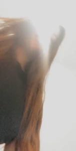 JessElle [ jessikat ] Onlyfans leaked video 7458201 on Hotleaks.tv