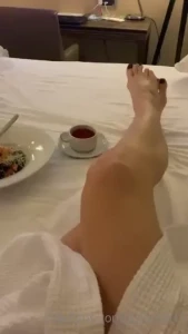 18252678