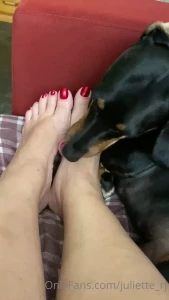 juliette_rj Onlyfans leaked video 7444036 on Hotleaks.tv