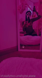 7627667