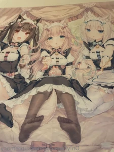 12702540