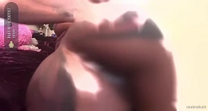13056423