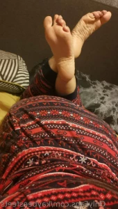 10744220