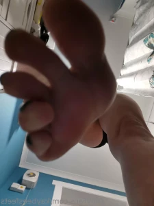 10744230