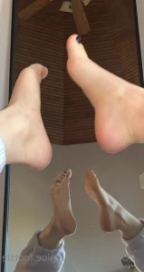 7343958