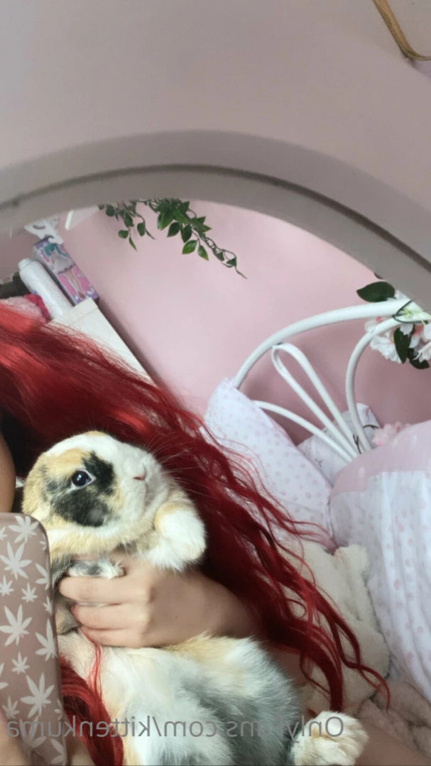 kat ♡ [ kittenkuma ] Onlyfans leaked photo 11057348 on Hotleaks.tv