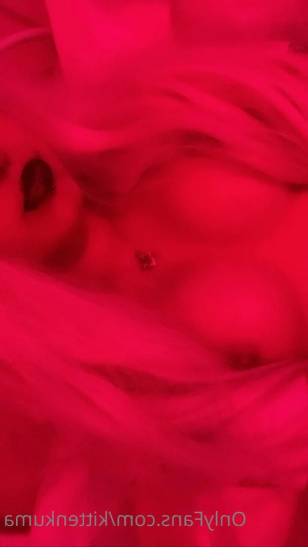 kat ♡ [ kittenkuma ] Onlyfans leaked photo 11714647 on Hotleaks.tv