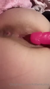 15202358