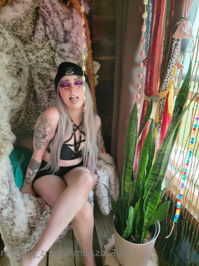 Kitten/Kat🐈🌸 [ kittens_playpen ] Onlyfans leaked photo 6878072 on Hotleaks.tv