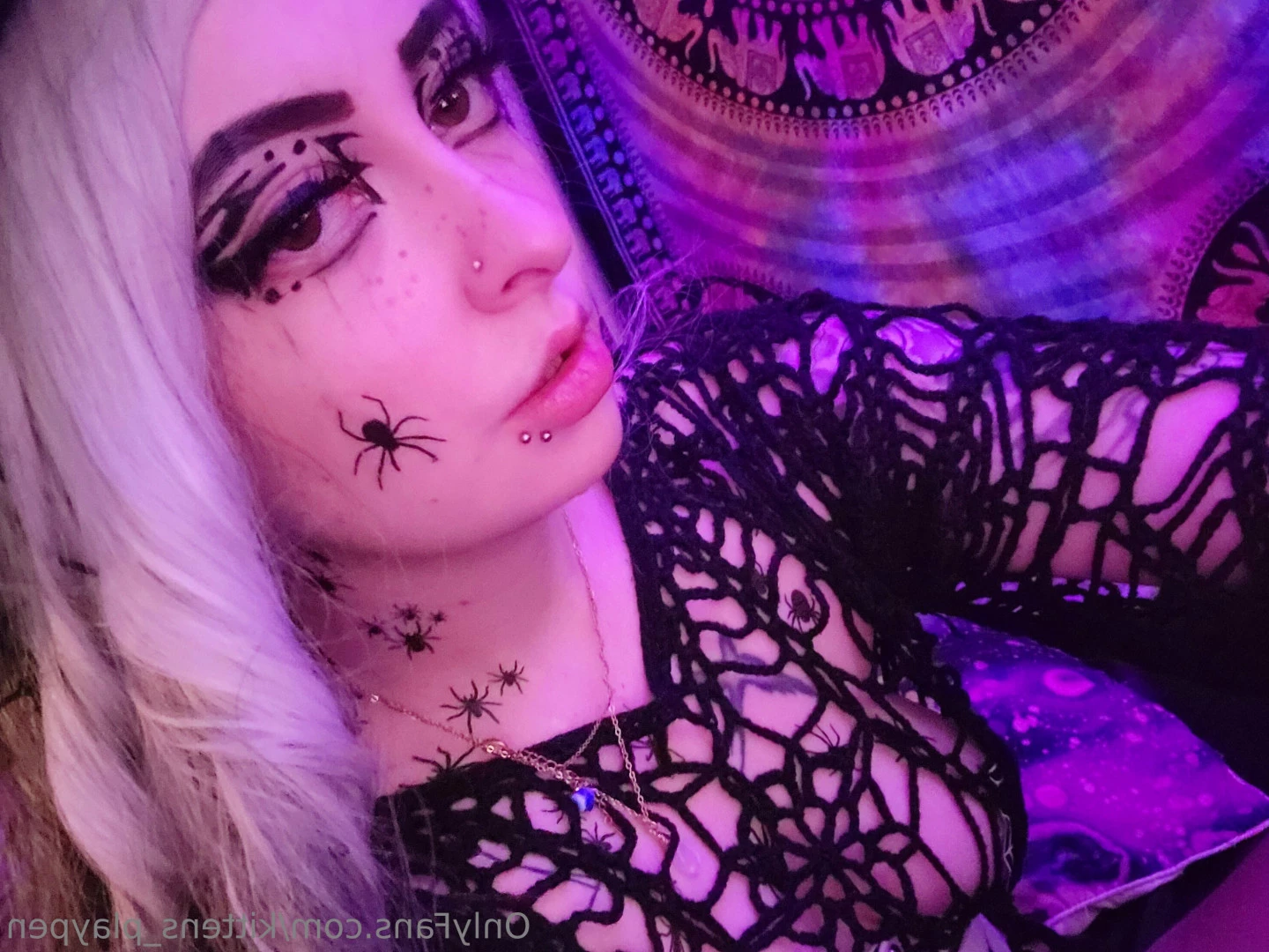 Kitten/Kat🐈🌸 [ kittens_playpen ] Onlyfans leaked photo 10511048 on Hotleaks.tv