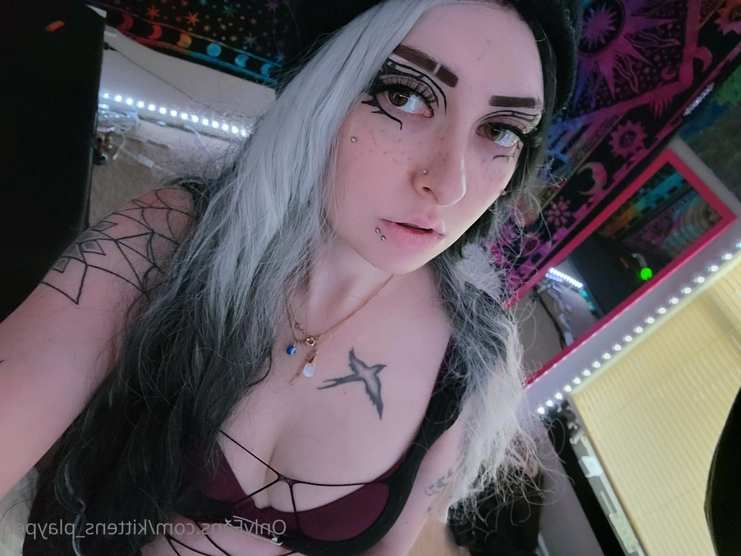 Kitten/Kat🐈🌸 [ kittens_playpen ] Onlyfans leaked photo 10536493 on Hotleaks.tv