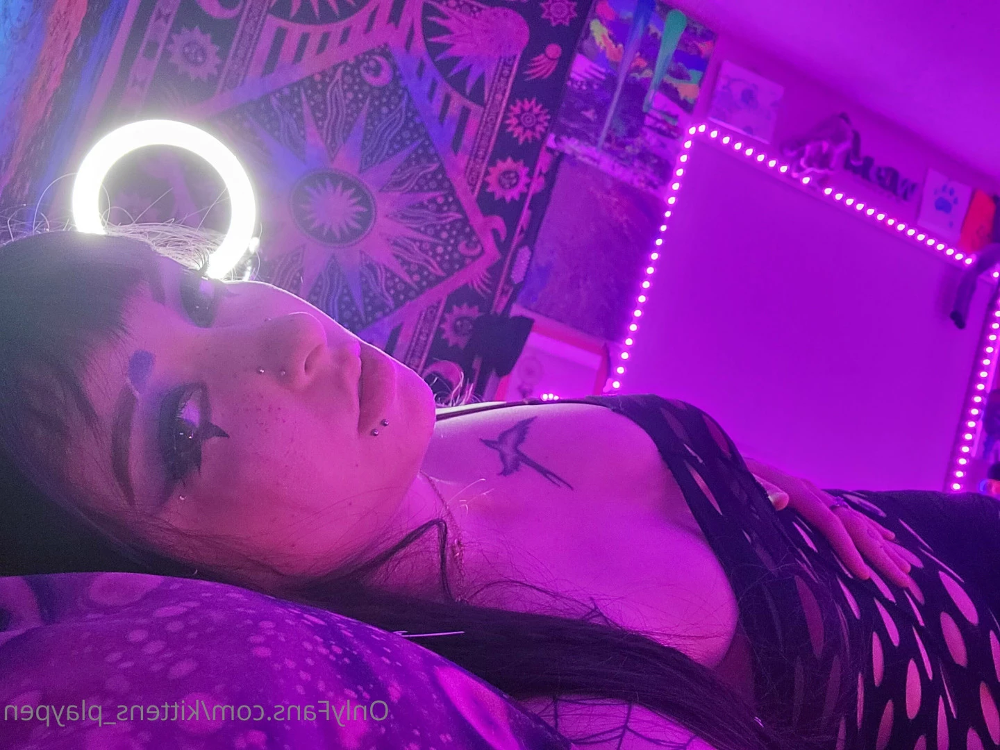 Kitten/Kat🐈🌸 [ kittens_playpen ] Onlyfans leaked photo 10660309 on Hotleaks.tv