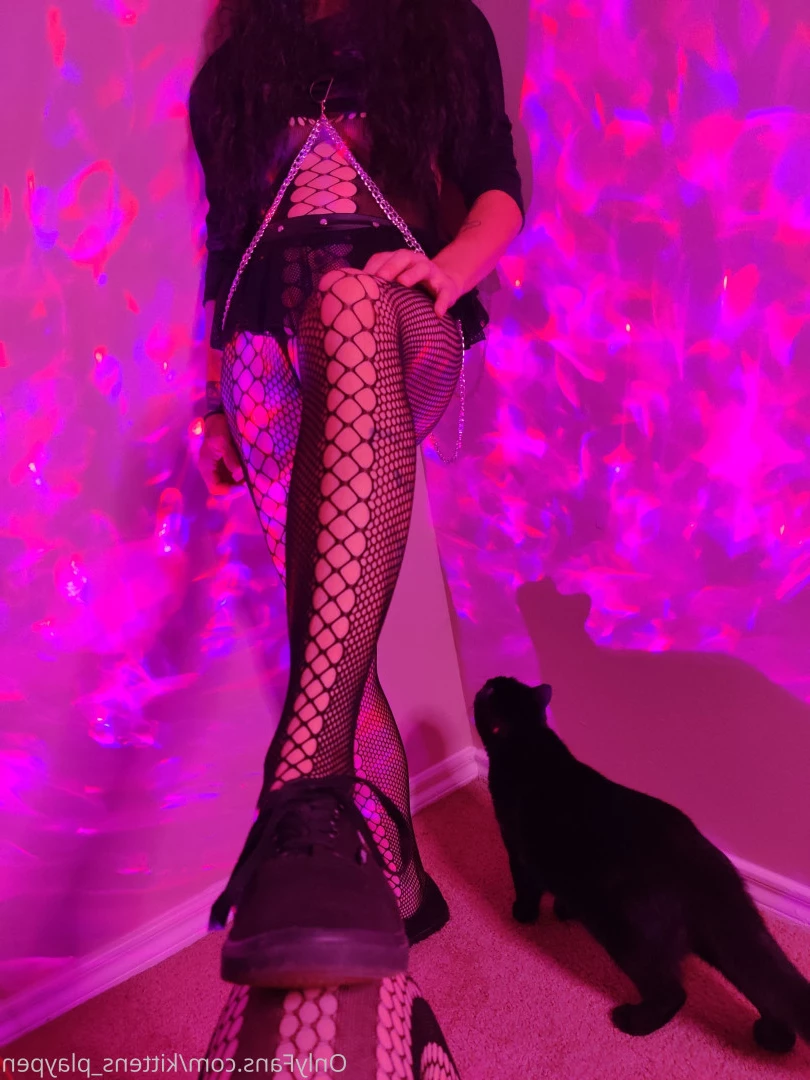 Kitten/Kat🐈🌸 [ kittens_playpen ] Onlyfans leaked photo 10668784 on Hotleaks.tv