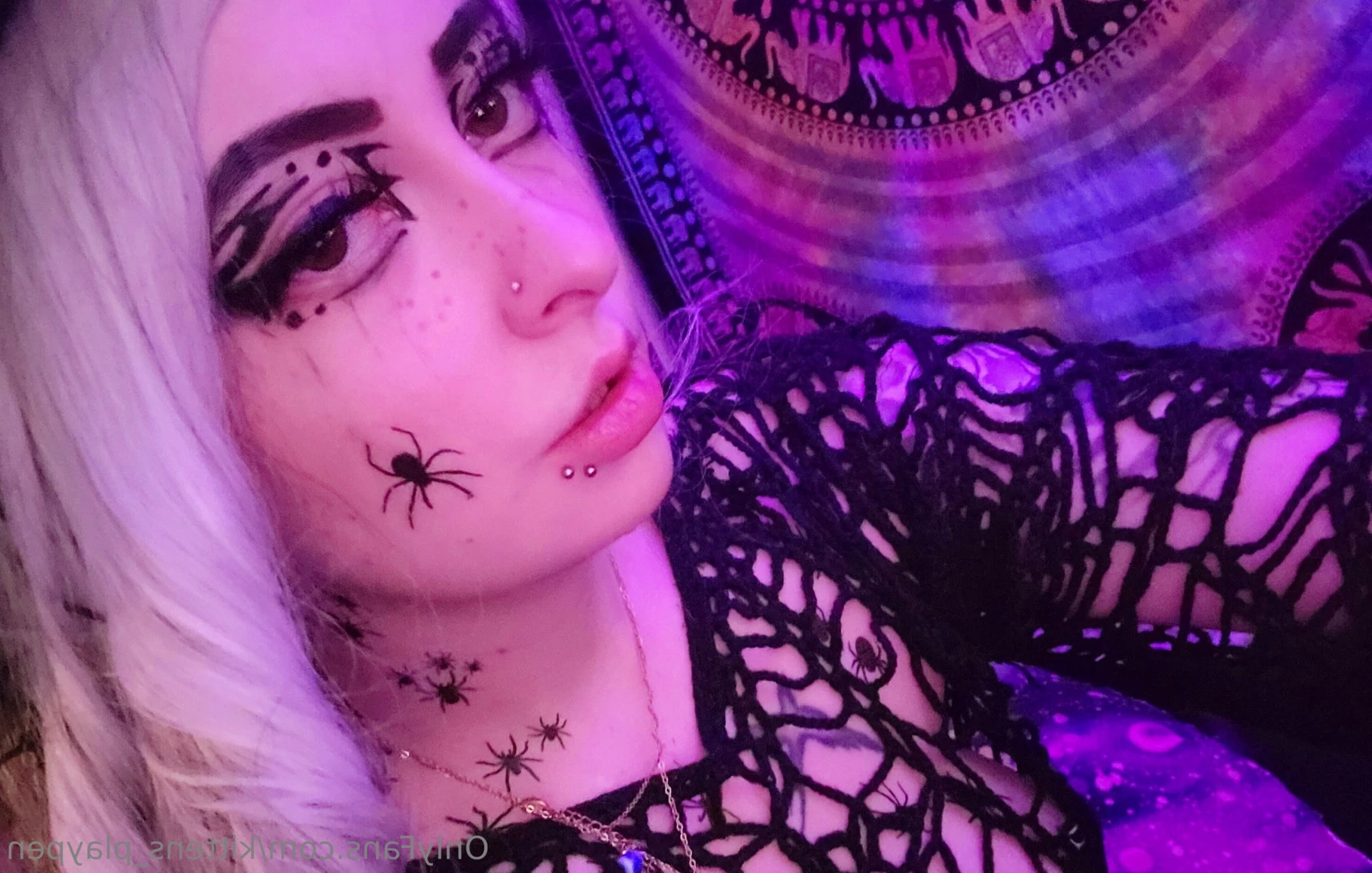 Kitten/Kat🐈🌸 [ kittens_playpen ] Onlyfans leaked photo 10692150 on Hotleaks.tv