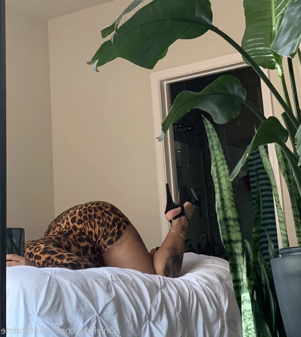 leavenowplz Onlyfans leaked photo 6908241 on Hotleaks.tv