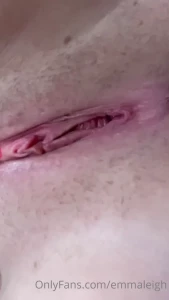 10545254