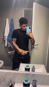 7329185