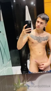 7329249