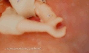 lovegiantess Onlyfans leaked video 12849805 on Hotleaks.tv