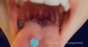 15753286