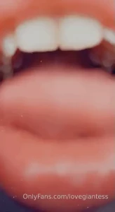 15753293