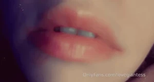 15876366