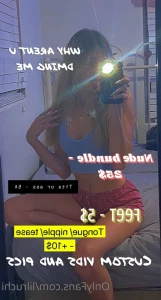 7317271