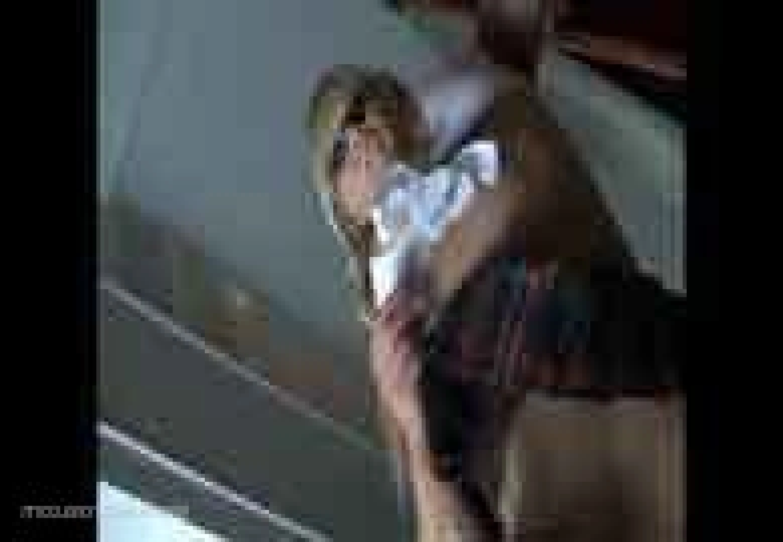 LisaCrossXXX [ lisaxxxcross ] Onlyfans leaked photo 6510232 on Hotleaks.tv