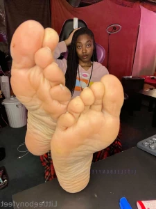 10443955
