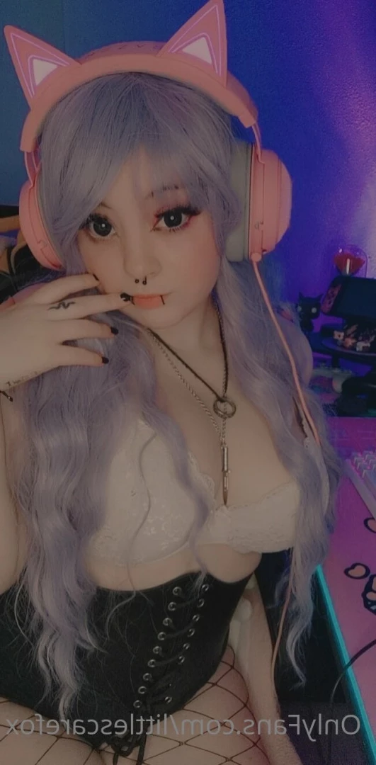 Sam [ littlescarefox ] Onlyfans leaked photo 7276741 on Hotleaks.tv