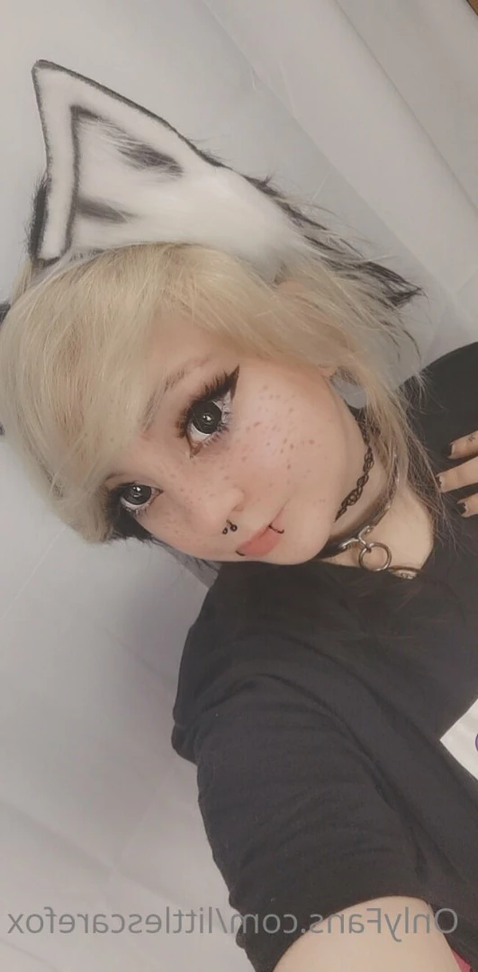Sam [ littlescarefox ] Onlyfans leaked photo 7276855 on Hotleaks.tv