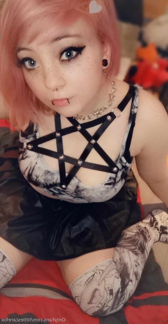 Sam [ littlescarefox ] Onlyfans leaked photo 7277274 on Hotleaks.tv