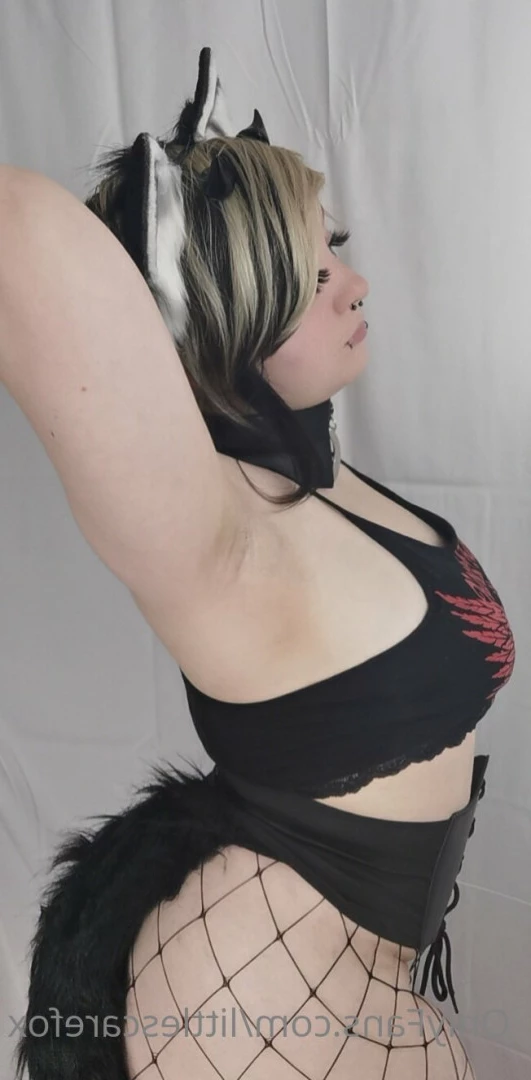 Sam [ littlescarefox ] Onlyfans leaked photo 7278384 on Hotleaks.tv